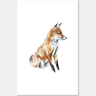 Fox - Water colour - Nature Posters and Art